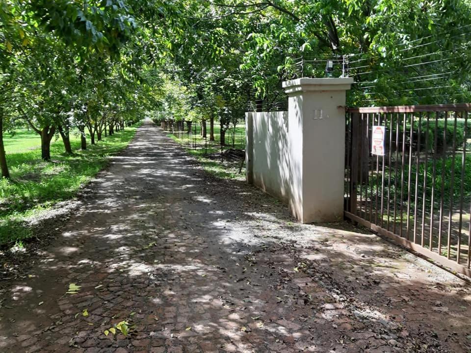 Green Willows Guest House Skeerpoort Dış mekan fotoğraf